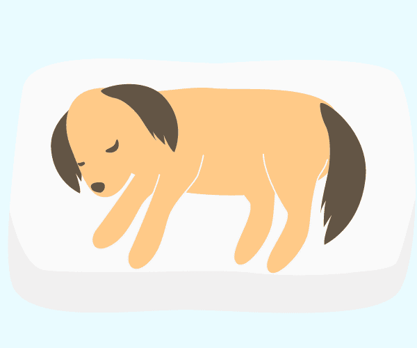 ご安置場所を整えてあげましょう